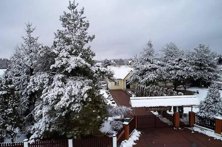Agroturystyka Barycz 46 Konskie Esterno foto